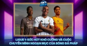 Ligue 1 Suc Hut Kho Cuong Va Cuoc Chuyen Minh Ngoan Muc Cua Bong Da Phap