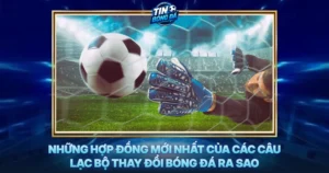 Nhung Hop Dong Moi Nhat Cua Cac Cau Lac Bo Thay Doi Bong Da Ra Sao