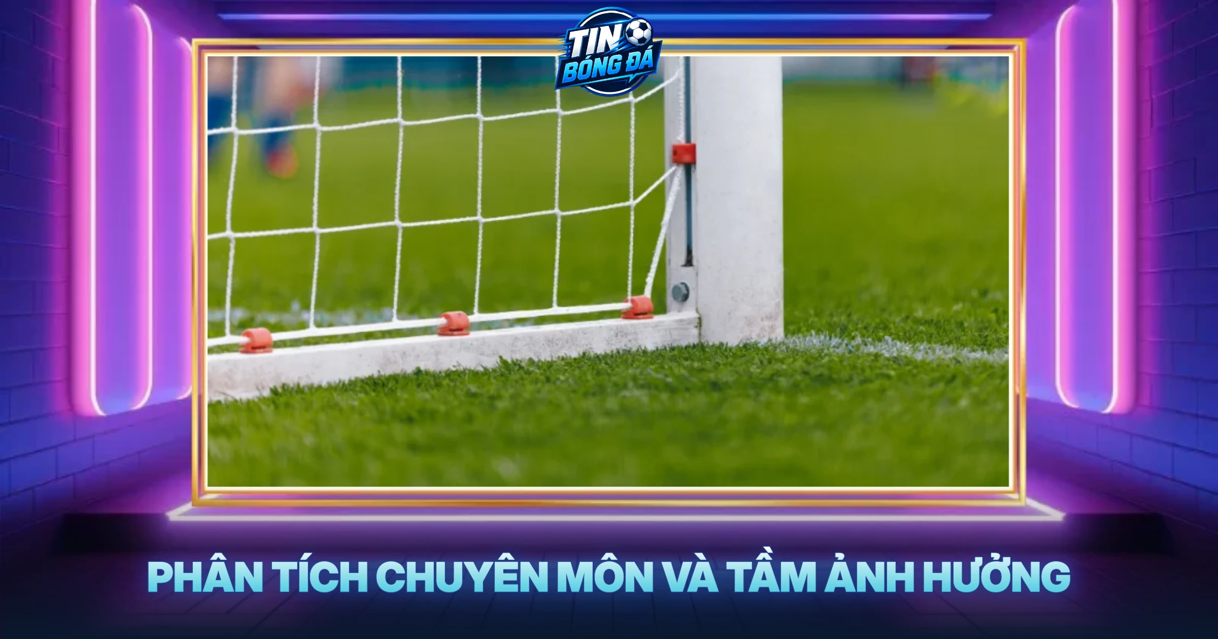 Phân Tích Chuyên Môn Và Tầm Ảnh Hưởng