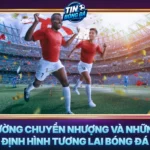 Thi Truong Chuyen Nhuong Va Nhung Dieu Dinh Hinh Tuong Lai Bong Da